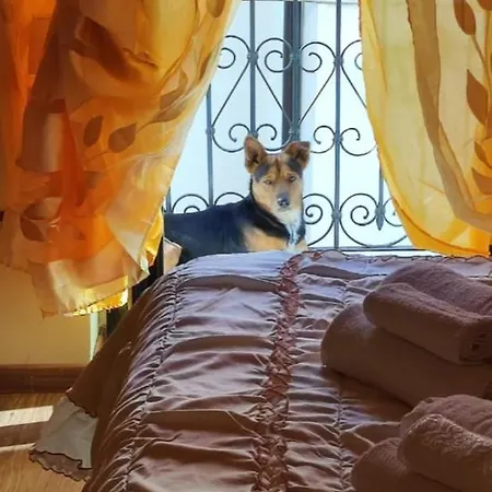 Casa vacanze La Casetta Della Nonna *