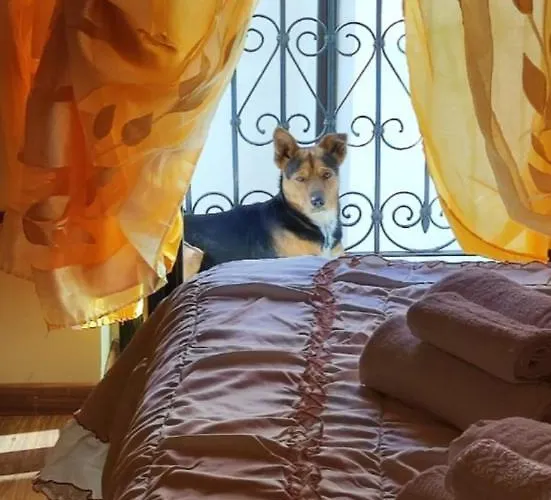 Casa vacanze La Casetta Della Nonna *