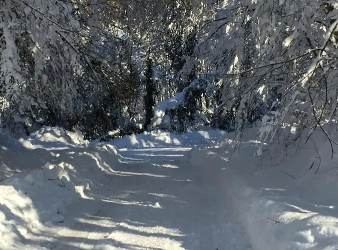 La Casetta Della Nonna Casa vacanze